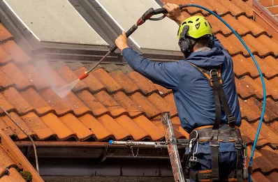 Démoussage et hydrofuge de toiture à Chassal-Molinges